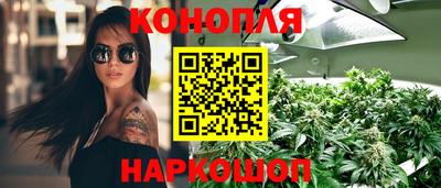 соль ск Можга