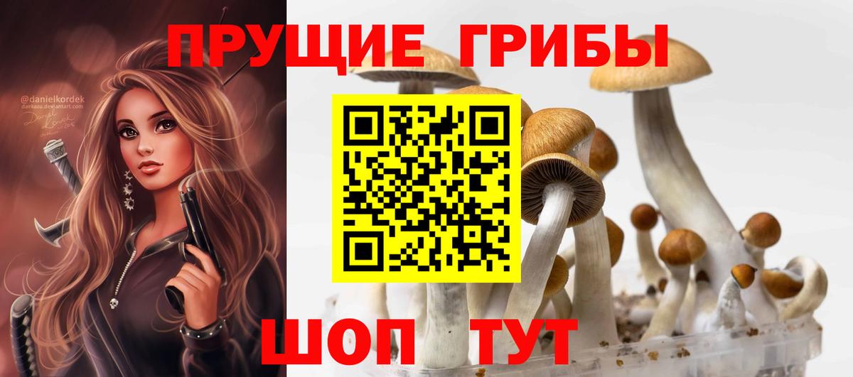Галлюциногенные грибы Cubensis  Псилоцибиновые грибы Psilocybe  Тихорецк  Вход с VPN 